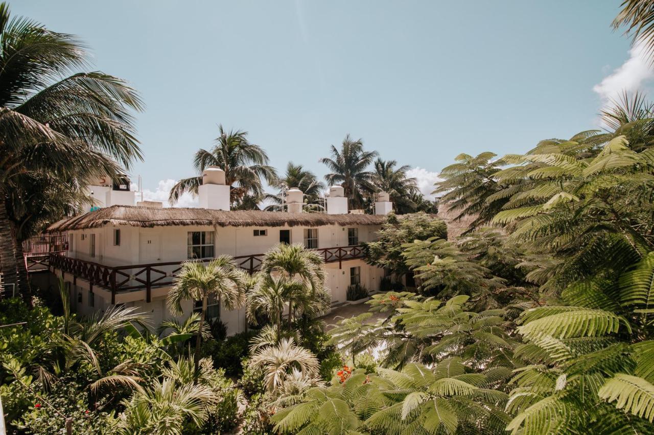 La Diosa Kali Beach Front Hotel Isla Holbox Dış mekan fotoğraf